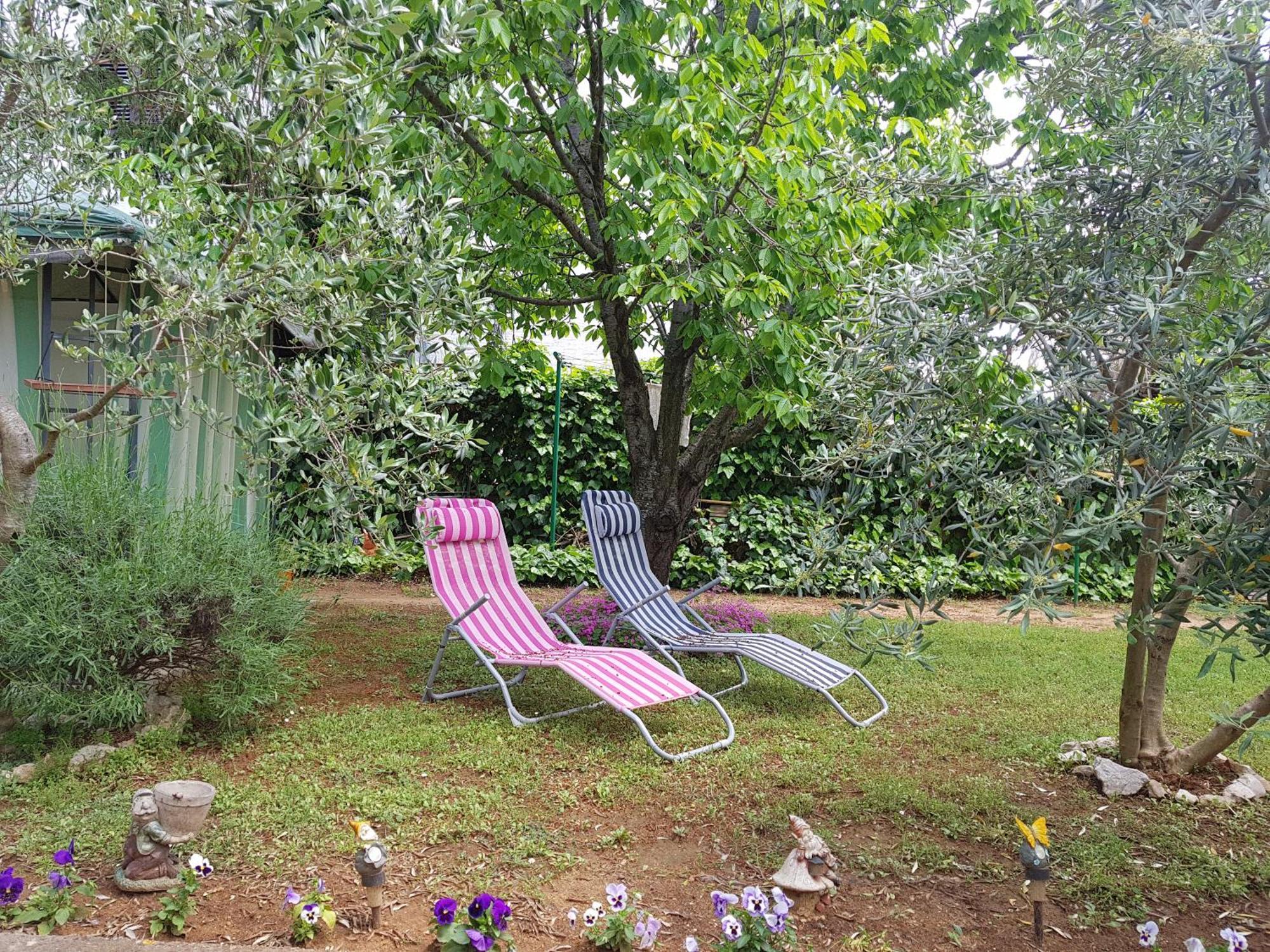 Apartmani Maver Sveti Filip i Jakov Exterior photo